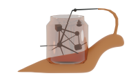 Kompot